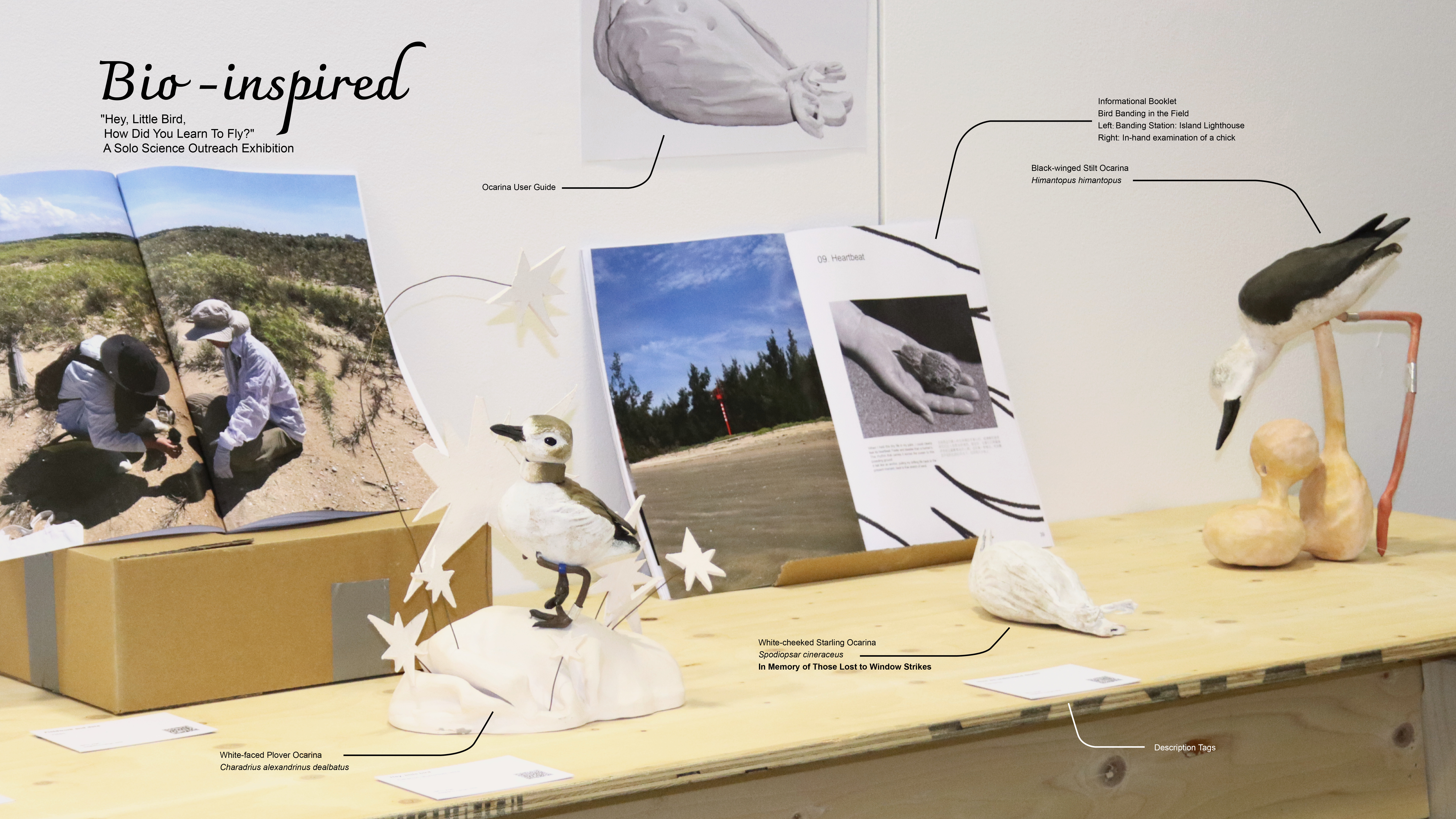Exhibition overview — Bio-inspired