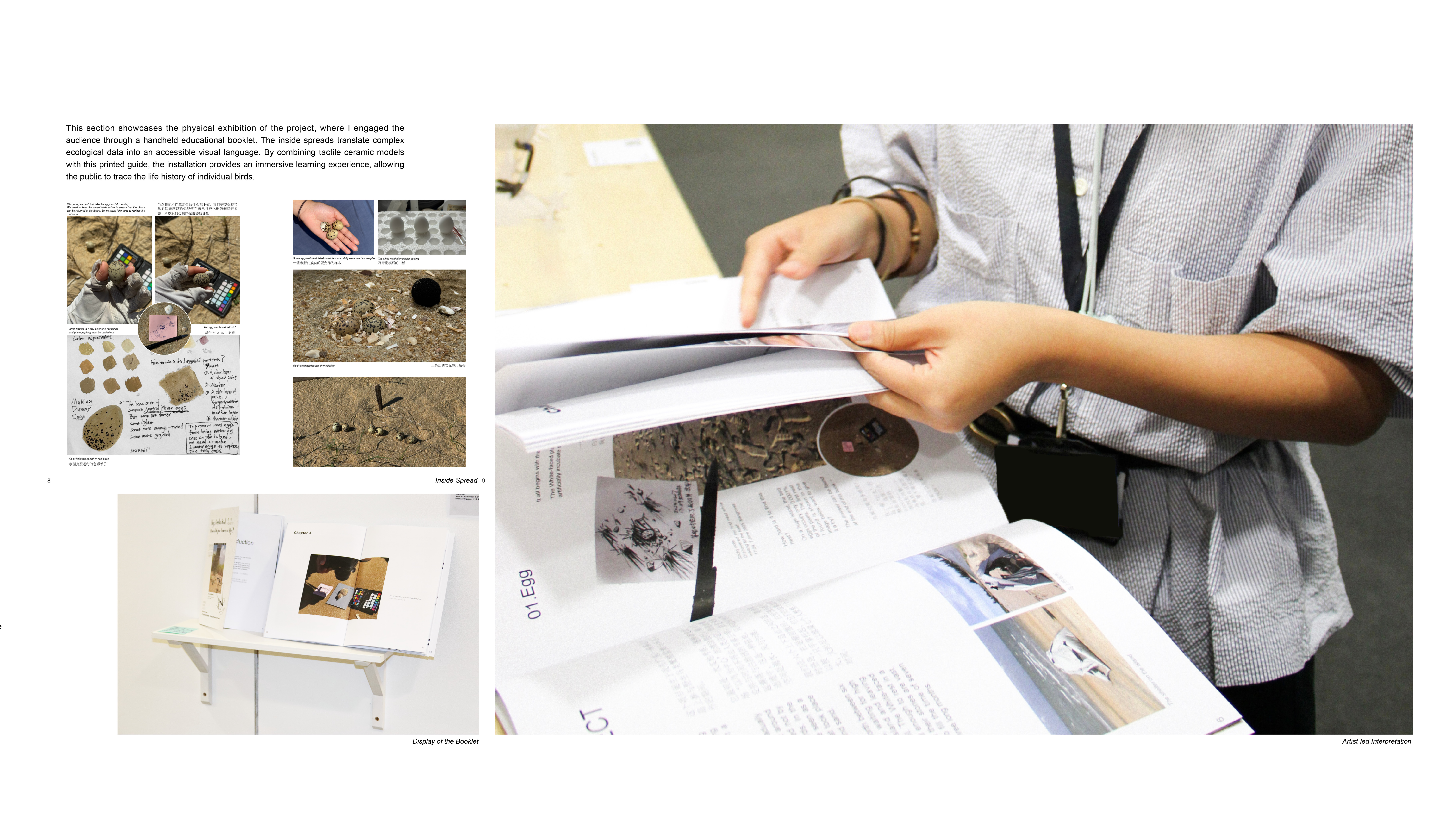 Booklet reading