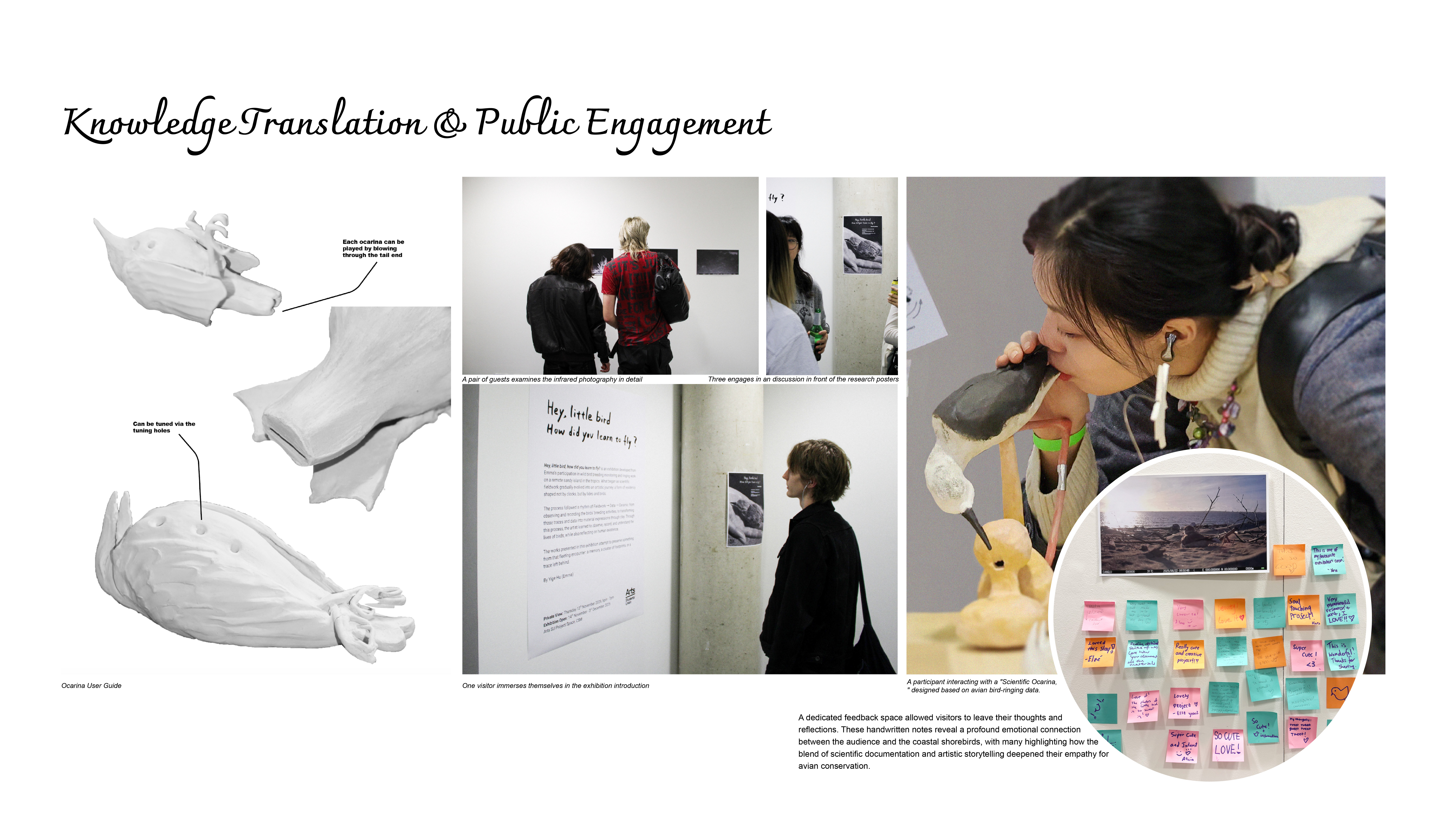Knowledge Translation and Public Engagement